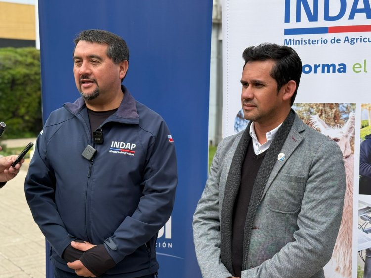 INDAP y Municipalidad de Parral invitan a la Primera “Expo Arroz 2025”