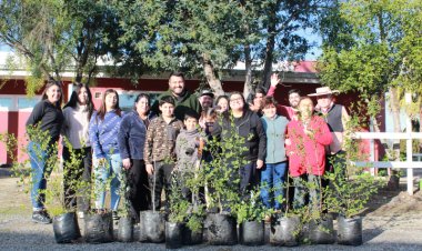El comando provincial de Gonzalo Winter cierra su campaña con plantación de árboles nativos en Longaví