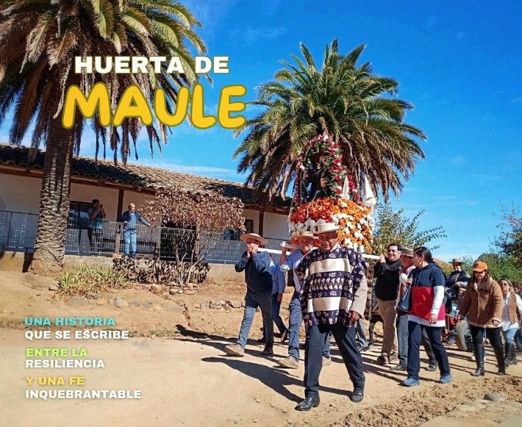 Huerta de Maule