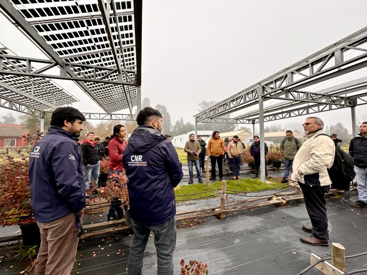 En taller para consultores: CNR presenta el primer Concurso de Innovación de la Ley de Riego