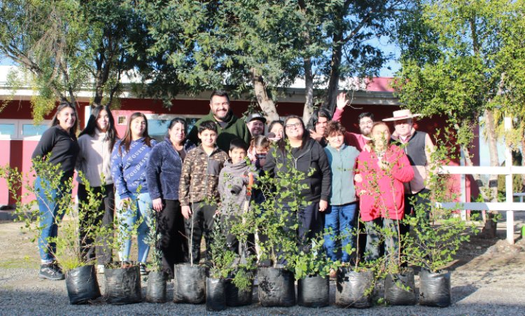 El comando provincial de Gonzalo Winter cierra su campaña con plantación de árboles nativos en Longaví