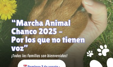 Chanco se moviliza por los animales: comunidad convoca a marcha pacífica contra el abandono y maltrato animal