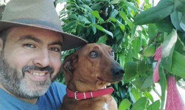 La carta abierta del concejal Eduardo Ibáñez con respecto a la perrera municipal de “La Invernada”