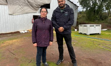 Delegada Aly Valderrama realiza visita inspectiva a perrera municipal de Linares junto a Subdere tras denuncias ciudadanas