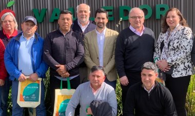 (VIDEO) Senadora Vodanovic destacó apoyo de Lo Valledor para avance de proyecto Macroferia Maule sur