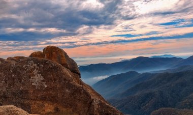 Naturaleza como medicina: conoce los beneficios de frecuentar entornos naturales para la salud