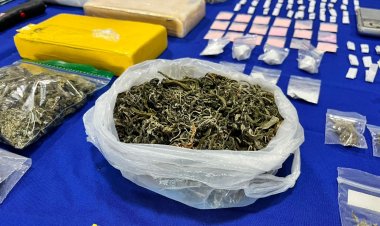 Constitución: cinco sujetos en la cárcel y 18 domicilios allanados tras operativo antidrogas