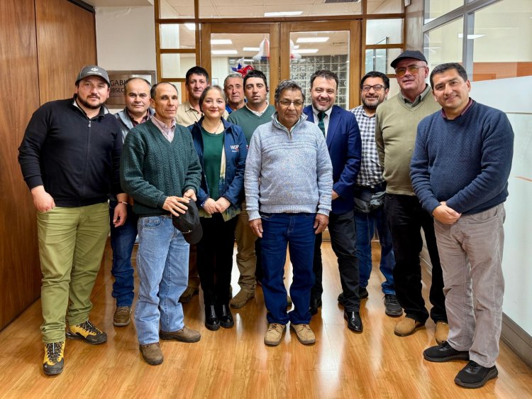Productores arroceros del Maule se reunieron con subsecretario de Agricultura para abordar desafíos del sector