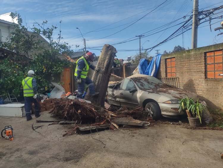 Autoridad en alerta por lluvias y vientos para las próximas horas en Linares
