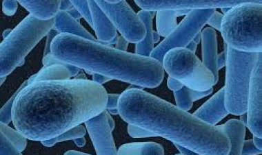 Síntomas, cuidados y recomendaciones de especialistas ante el Coqueluche