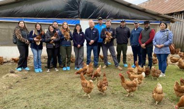 Plan Mi Primer Negocio Rural
