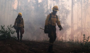 Proponen profesionalizar a brigadistas forestales para desempeñar rol preventivo anual