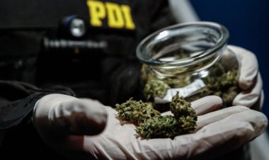 Detienen a cuatro sujetos en Talca y Yerbas Buenas por delitos de microtráfico