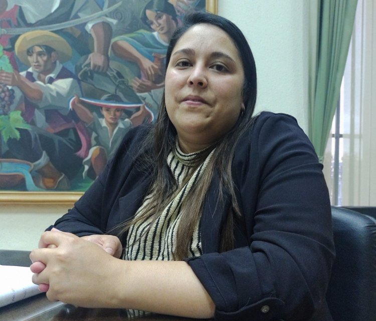Ex delegada presidencial de Linares, Priscila González Carrillo cuestionó redes de encubrimiento y llamó a mayor transparencia