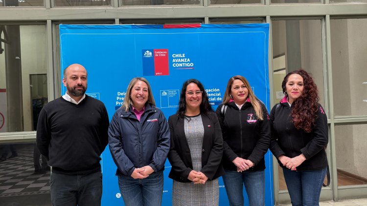 Provincia de Linares se suma al mes de la Prevención del Cáncer de Mama