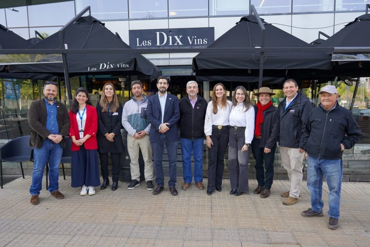 Cata, conversación y guitarra: Villa Alegre y San Javier presentaron sus nuevos vinos a restaurantes en Santiago