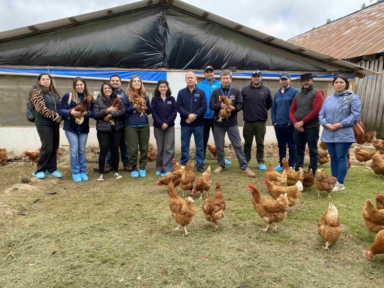 Plan Mi Primer Negocio Rural