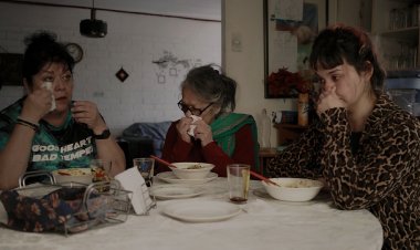 Festival de Cine Felina anuncia su programación 2025 con funciones gratuitas en el Maule