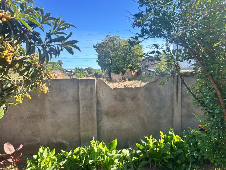 Fundación Las Rosas: llamado urgente a la comunidad ante reiterados robos que ponen en riesgo a las personas mayores del Hogar Sagrado Corazón de Linares