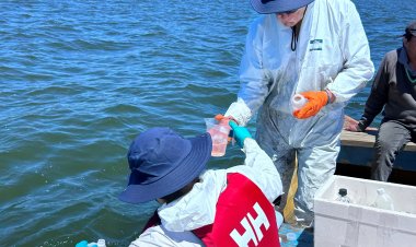 Tecnología chilena busca devolver la vida al Lago Vichuquén