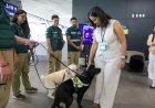 Aeropuerto de Santiago: SAG registra casi 10 mil mascotas arribadas y enfatiza importancia del certificado zoosanitario