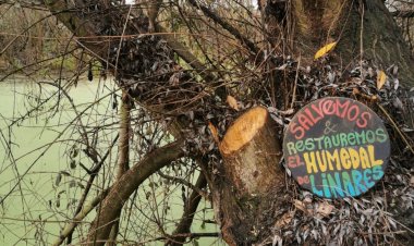 Día Mundial de los Humedales: experta UOH entrega seis recomendaciones para proteger estos ecosistemas clave