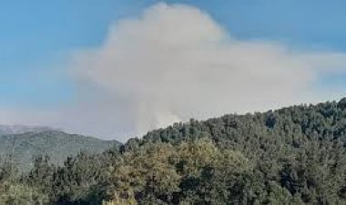 (AUDIO) Activo y en combate sigue incendio en Cajón Pejerrey al interior del Santuario Achibueno de Linares