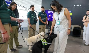 Aeropuerto de Santiago: SAG registra casi 10 mil mascotas arribadas y enfatiza importancia del certificado zoosanitario