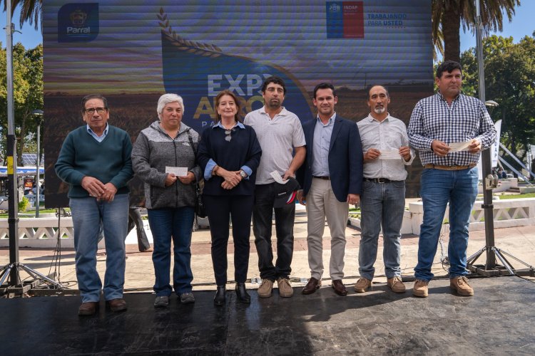 Arroceros del Maule reciben $600 millones de INDAP para hacer frente a temporada marcada por bajos precios