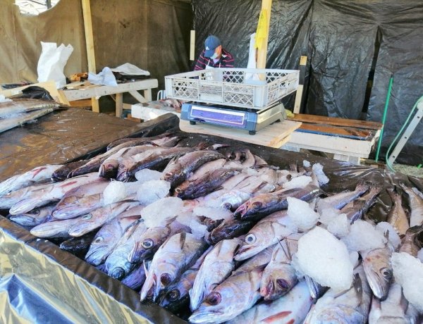 Odepa informa precios referenciales para preparar menús de Semana Santa y orienta decisiones de compra de las familias
