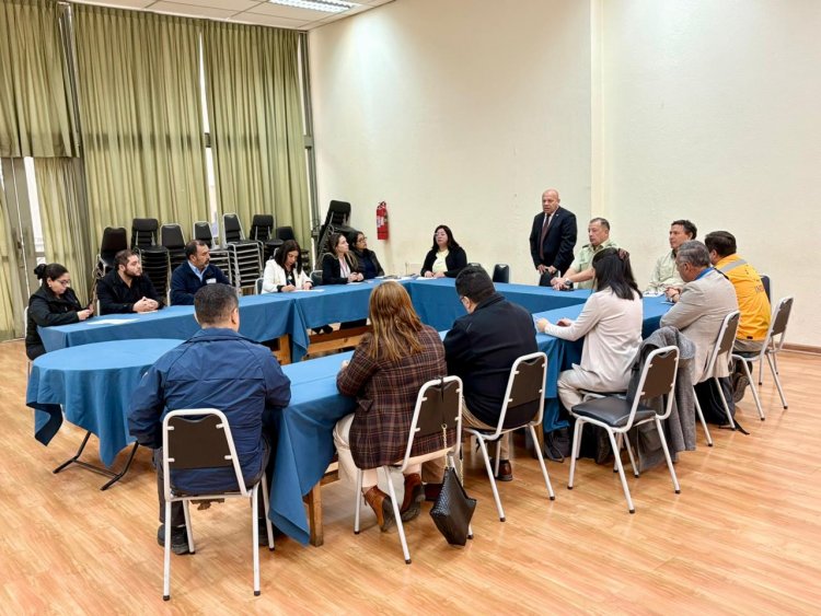 Delegación Presidencial Provincial de Linares fortalece coordinación con servicios públicos para despliegue en el territorio