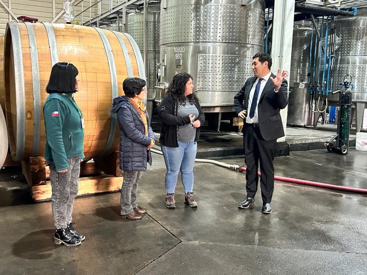 SEREMI de Agricultura lidera en fiscalización a bodega elaboradora de vino