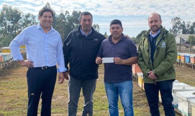 Seguro apícola permite al productor Abelardo Flores podrá volver a levantar su negocio en Longaví