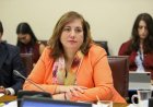 Tensión en el PS: Vodanovic desmintió a Cicardini y descartó "negociación a espalda" con Quiroz por Megarreforma