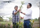Abogado César Concha: El mejor programa social sigue siendo un empleo digno