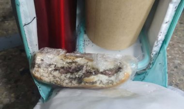 Linares: madres denuncian plaga de hormigas en el Área de Pediatría del Hospital