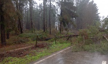 Ecoansiedad: cuando la preocupación por el cambio climático afecta la salud mental