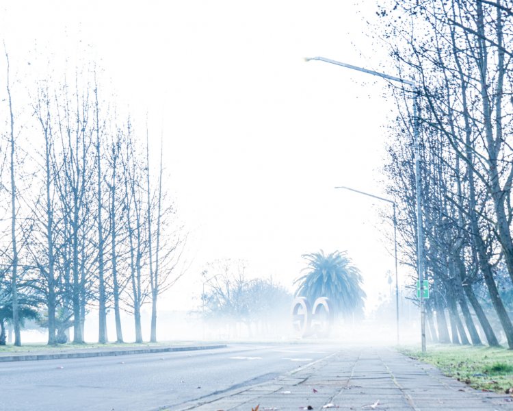 Masa de aire polar genera heladas en zona central de Chile