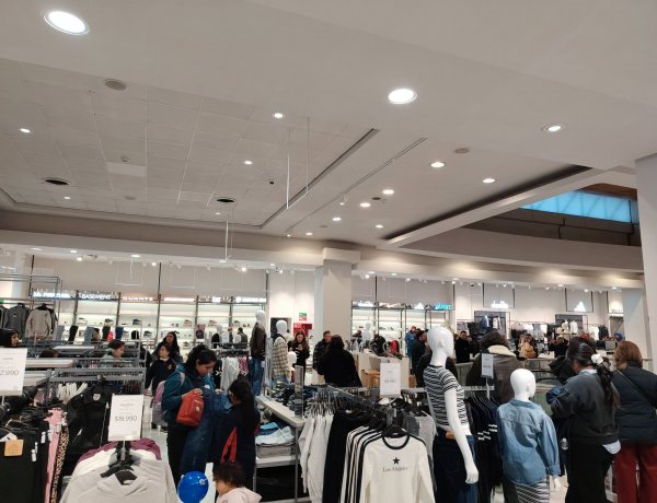 (VIDEO) Linares: revuelo por presencia de murciélagos en la apertura de la Tienda Falabella