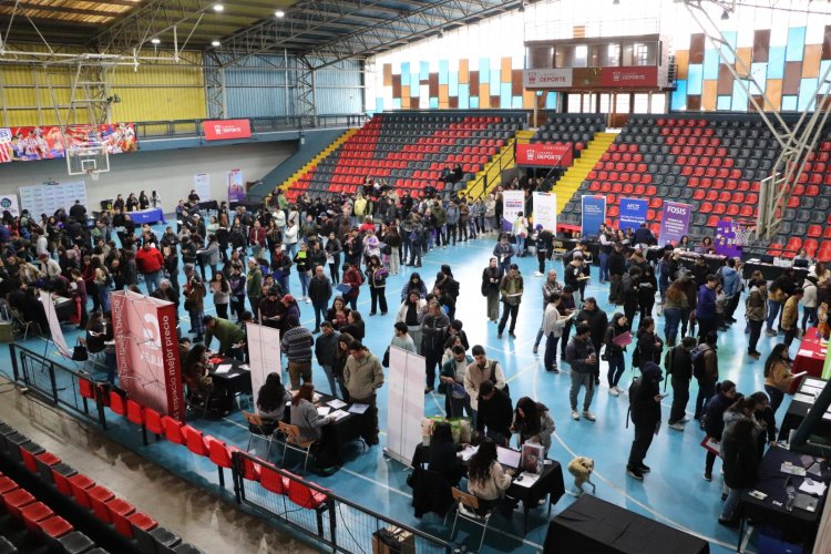 Autoridades llaman a empresas maulinas a postular al nuevo Subsidio Unificado al Empleo
