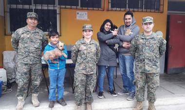 Escuela de Artillería realizó operativo en Maule sur