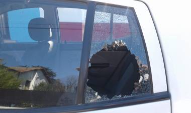 Alarma por el aumenta robo de especies desde automóviles