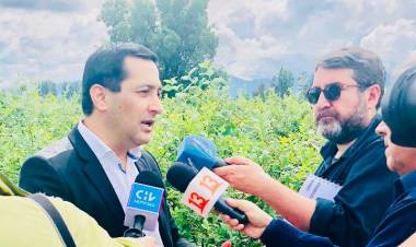 Piden regular venta de químicos y tóxicos en materia agrícola