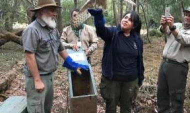 “Casa Noé” y el SAG liberan aves rapaces y una culebra