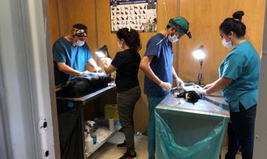 Positivo impacto genera Clínica Médico Veterinaria Municipal