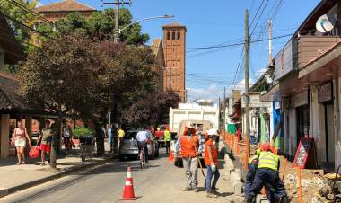 Anuncian proyecto de reforestación en Linares tras  eliminación de “ciruelos de flor primaveral”