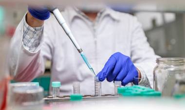 UTALCA presentan novedosa terapia contra el virus Hanta