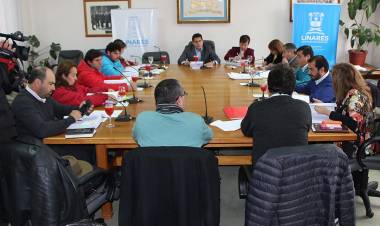 Cinco concejales se querellarán por injurias y calumnias contra controvertida funcionaria municipal