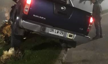 Identifican a conductor que arrasó con Palmera y lo denuncian al Juzgado de Policía Local