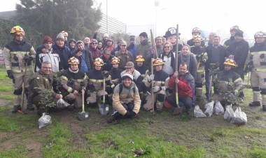 Positivo operativo de limpieza y plantación de árboles en Linares